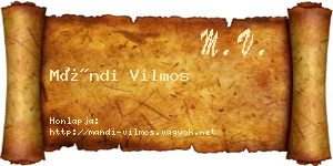 Mándi Vilmos névjegykártya